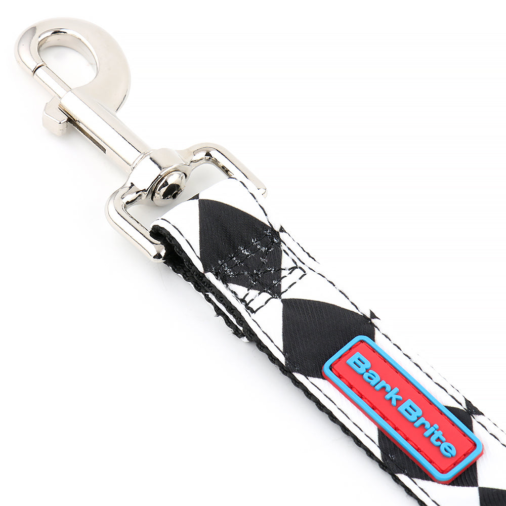 Close-up of Cape Lookout Dog Leash on outdoor trail
