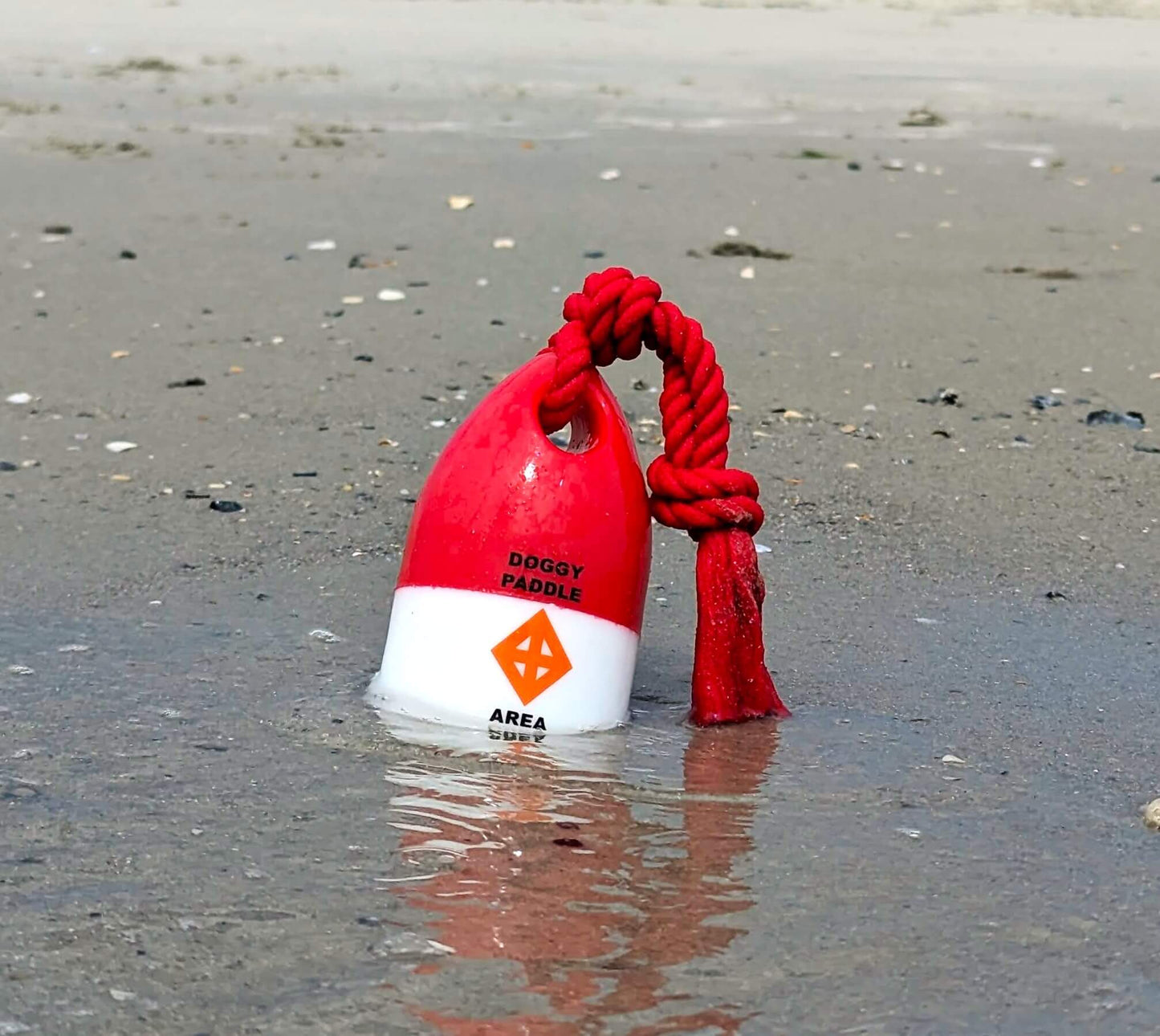Close-up of The Chewy Buoy water fetch toy on grass