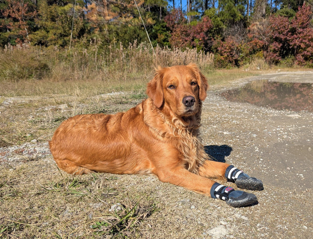 Bark Brite NEW All Terrain All Weather Neoprene Dog Shoe