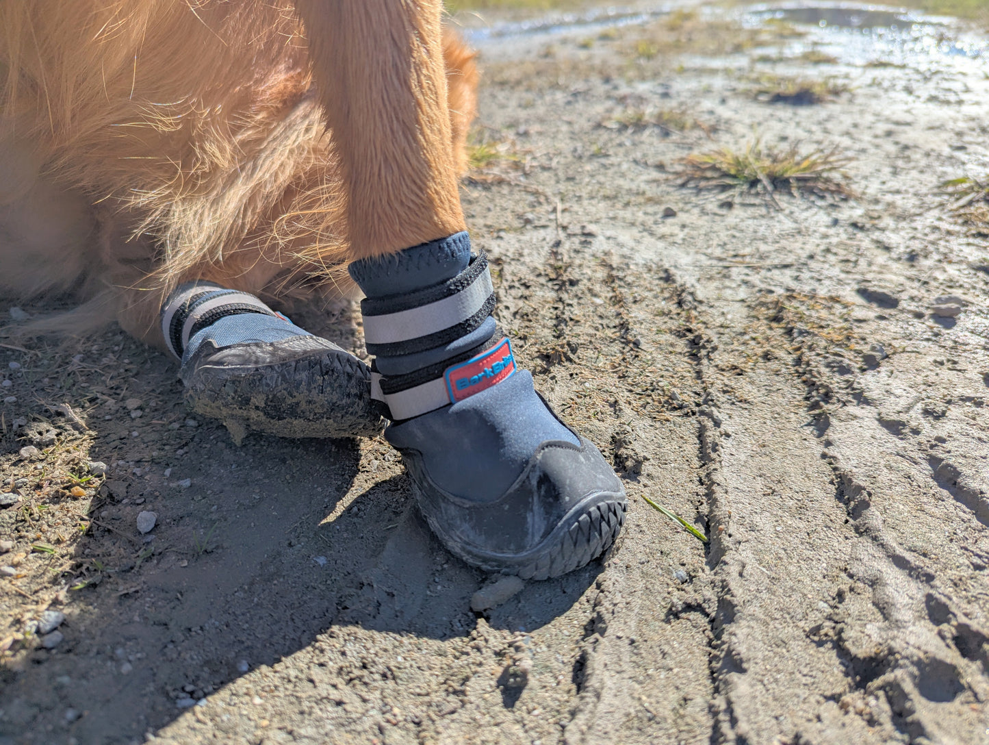 Bark Brite NEW All Terrain All Weather Neoprene Dog Shoe