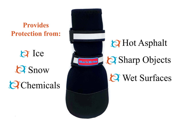 Dog wearing Bark Brite neoprene booties on grass