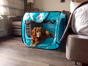 Dog resting inside Bark Brite pop open travel crate