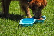 Outdoor use of Bark Brite collapsible double dog bowl