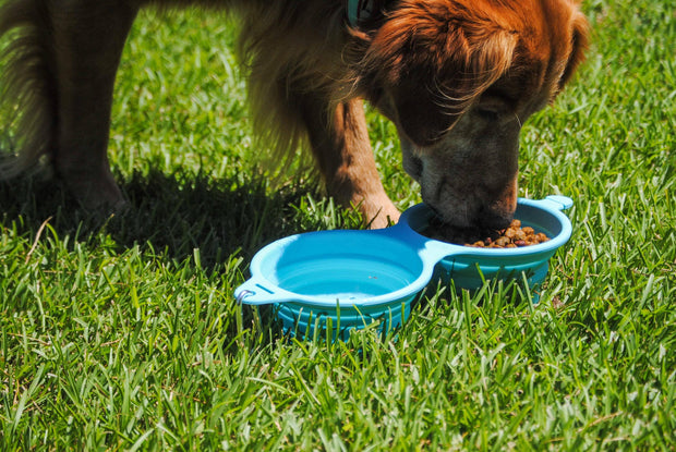 Outdoor use of Bark Brite collapsible double dog bowl