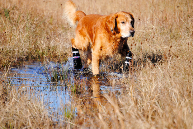 Water-resistant Bark Brite all-season dog booties