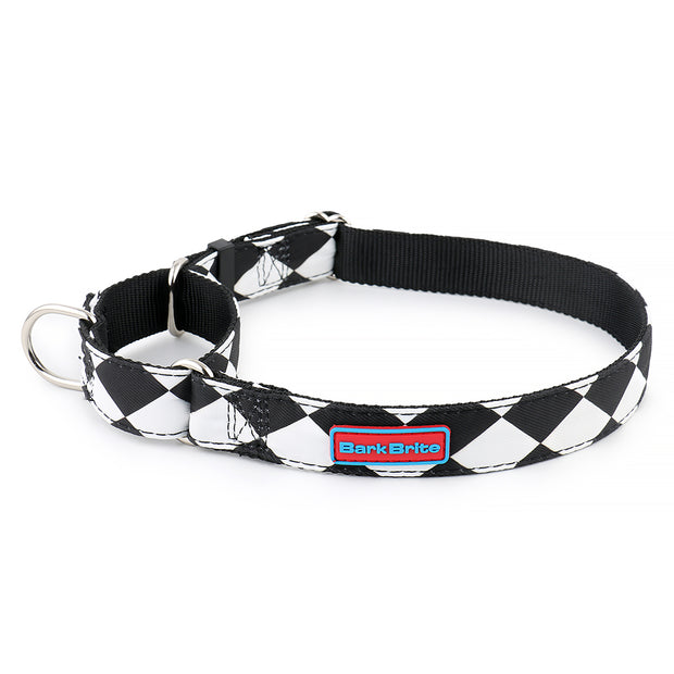 Close-up of Cape Lookout Martingale Dog Collar with metal ring