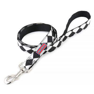 Cape Lookout Dog Leash by Bark Brite with durable clasp