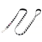 Stylish Bark Brite Cape Lookout leash for dogs