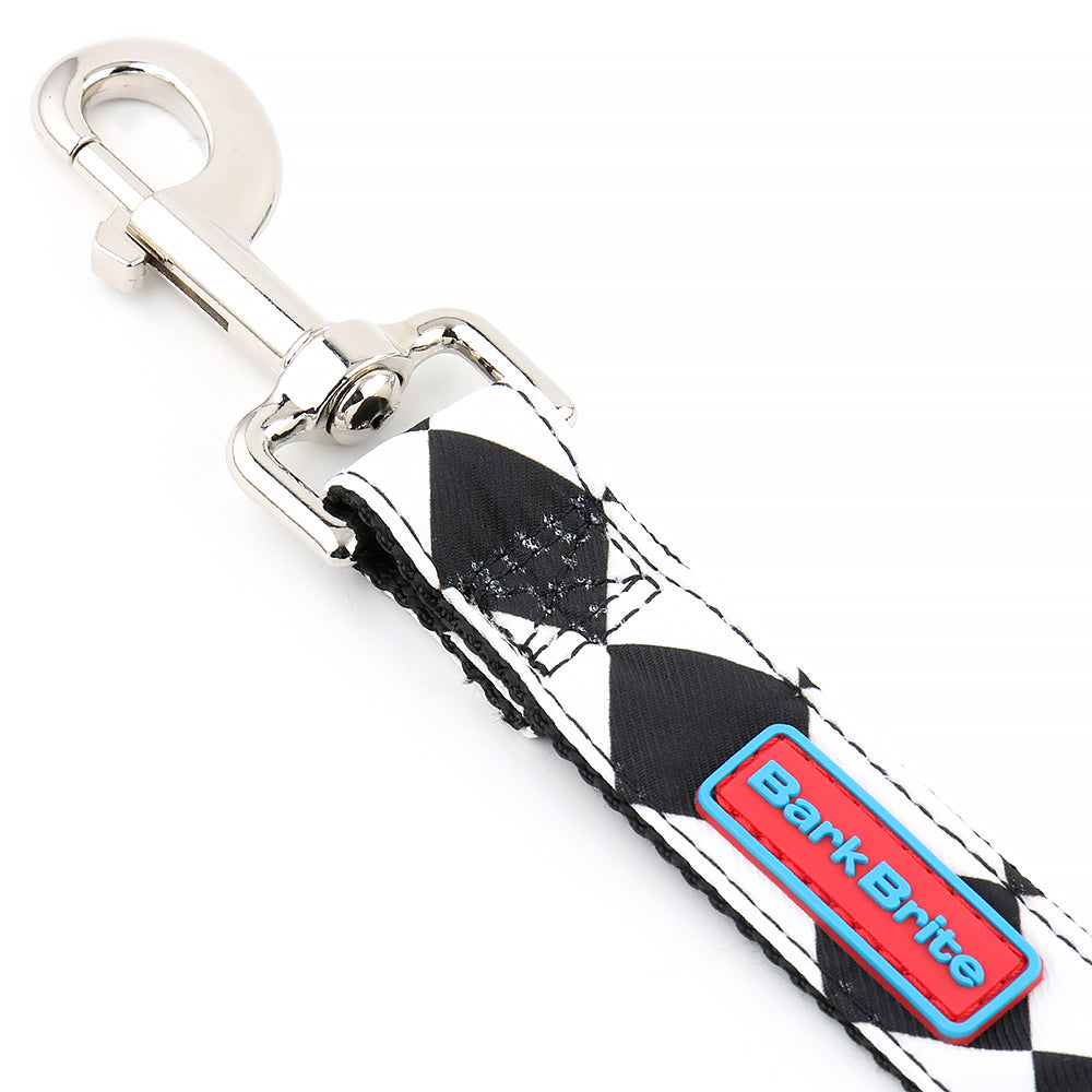 Cape Lookout Dog Leash by Bark Brite