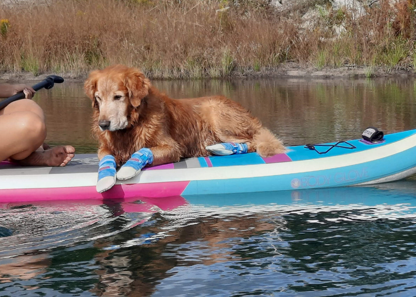 Bark Brite Lightweight Neoprene Dog Boat Booties