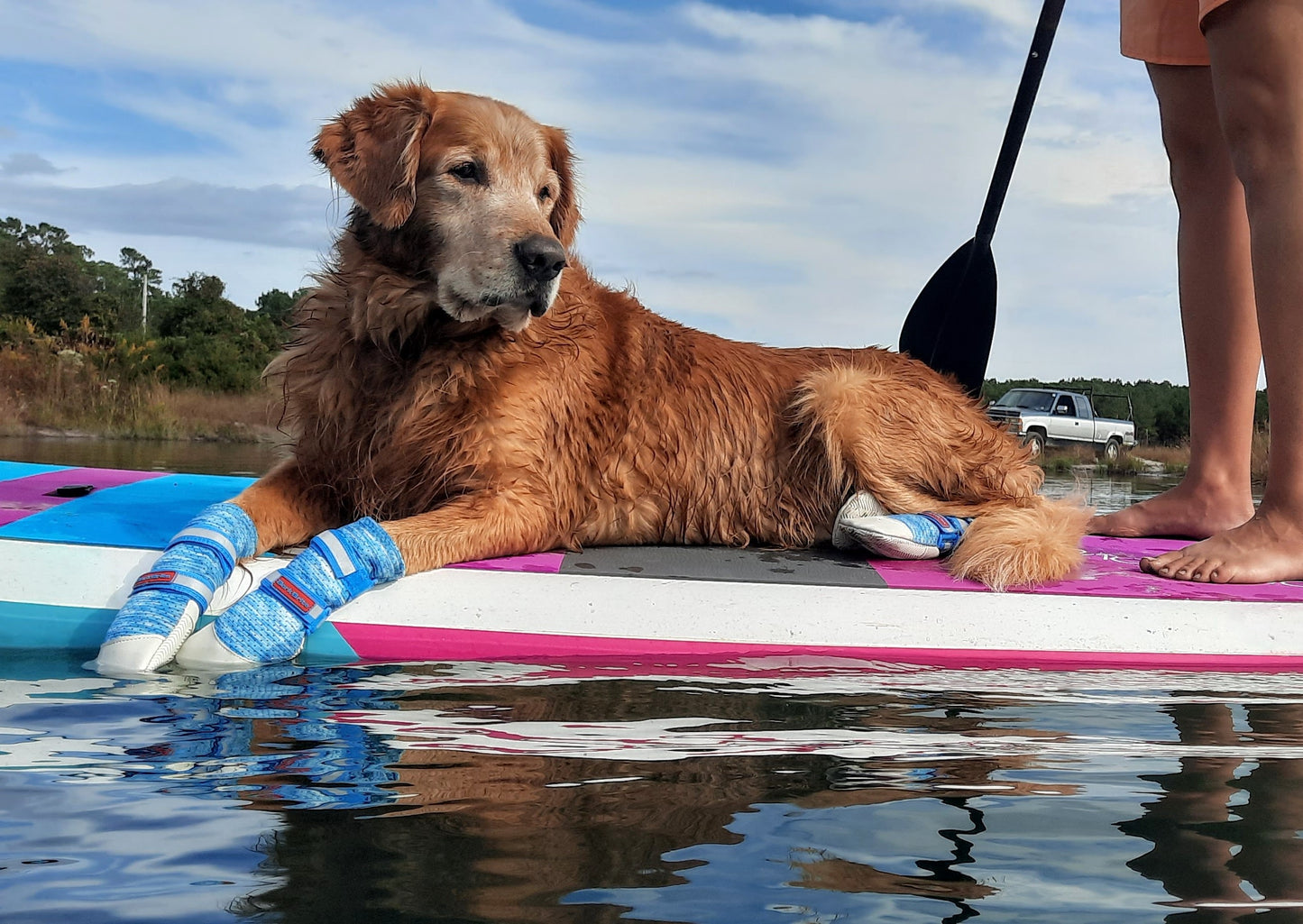 Bark Brite Lightweight Neoprene Dog Boat Booties