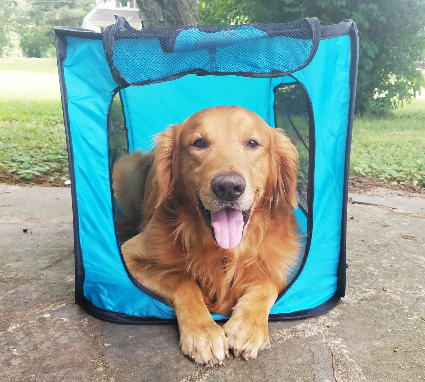 Bark Brite Pop Open Collapsible Travel Crate