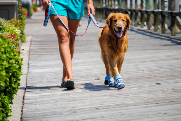 Outdoor adventure with dog in Bark Brite neoprene boots